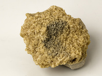 M 00036
<br/>
<br/>
<em></em>